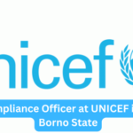 Risk & Compliance Officer at UNICEF in kano and Borno State