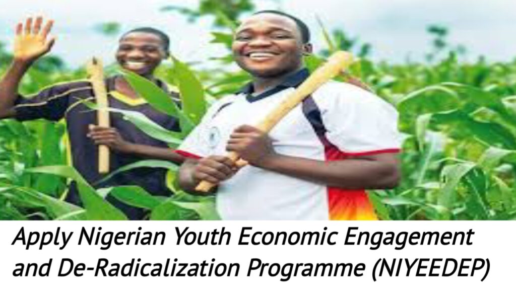 Apply Nigerian Youth Economic Engagement and De-Radicalization Programme (NIYEEDEP).