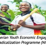 Apply Nigerian Youth Economic Engagement and De-Radicalization Programme (NIYEEDEP).