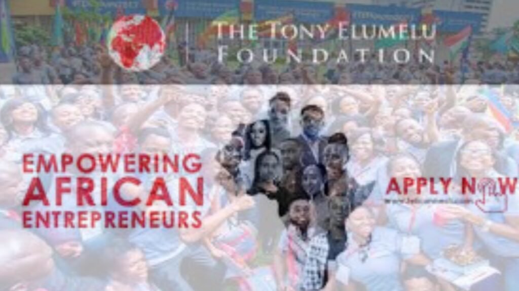 Tony Elumelu Foundation Offers Grants for Small Businesses